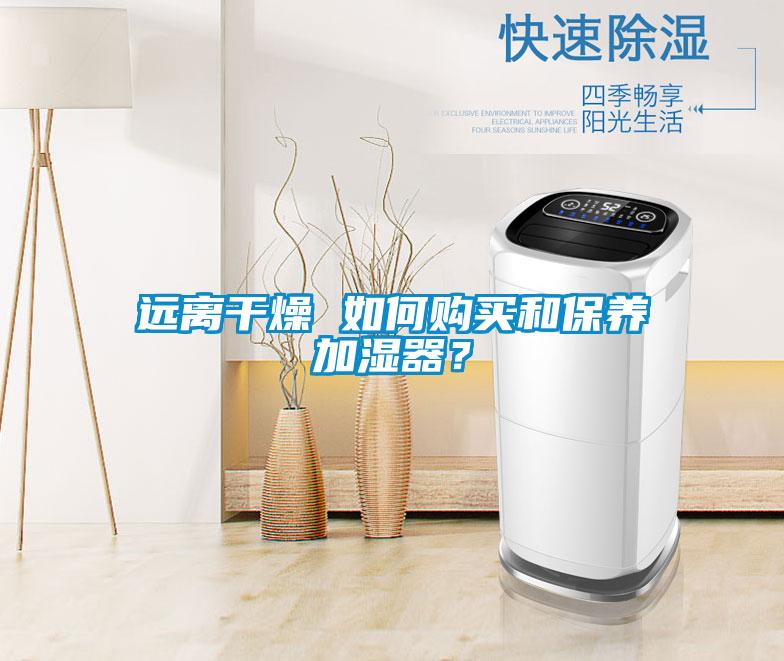 遠離干燥 如何購買和保養加濕器？