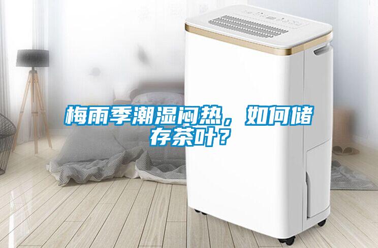 梅雨季潮濕悶熱，如何儲存茶葉？