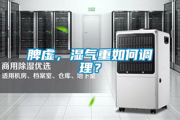 脾虛，濕氣重如何調理？
