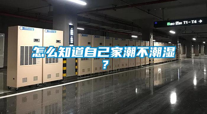 怎么知道自己家潮不潮濕？