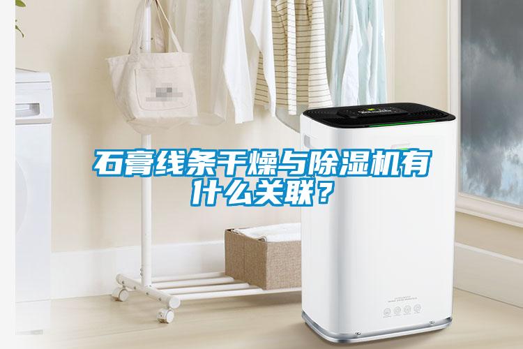 石膏線條干燥與除濕機有什么關聯？