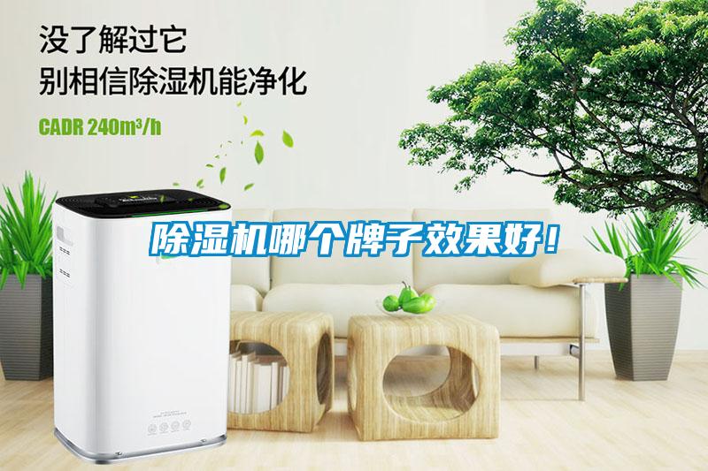 除濕機哪個牌子效果好！