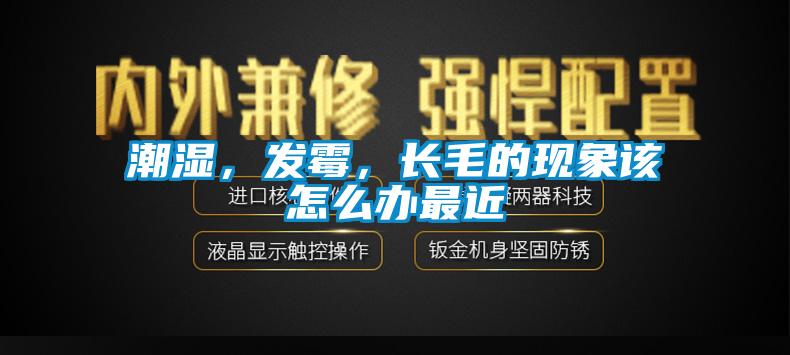 潮濕，發霉，長毛的現象該怎么辦最近