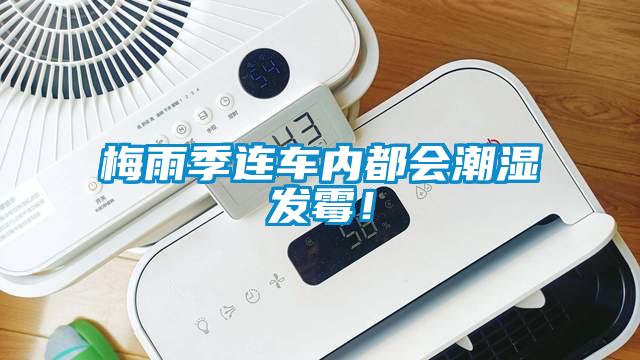 梅雨季連車內(nèi)都會(huì)潮濕發(fā)霉！