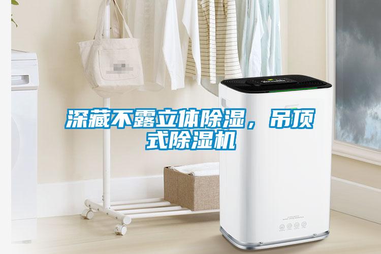 深藏不露立體除濕，吊頂式除濕機