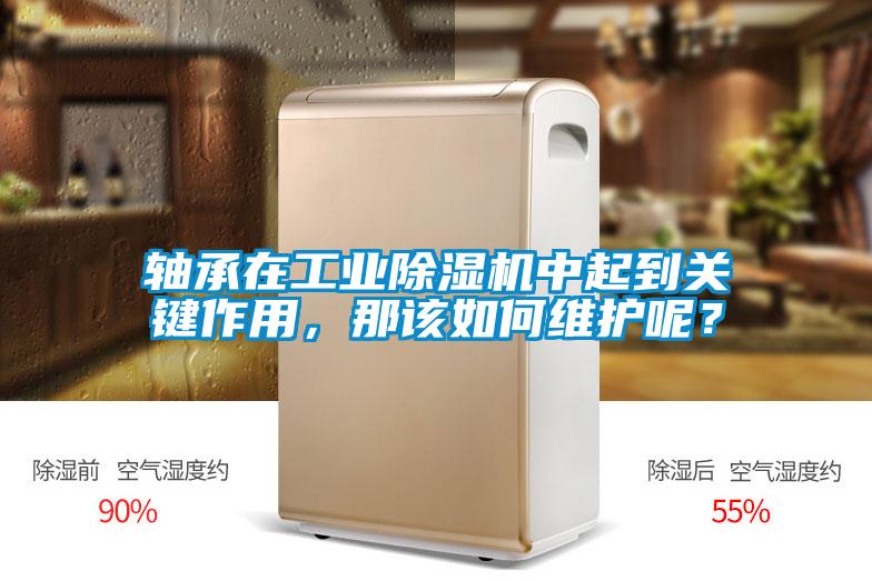 軸承在工業除濕機中起到關鍵作用，那該如何維護呢？