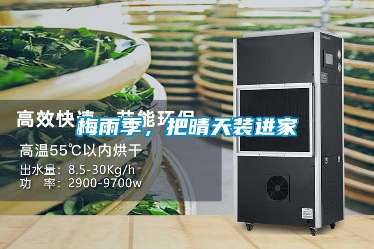 梅雨季，把晴天裝進(jìn)家