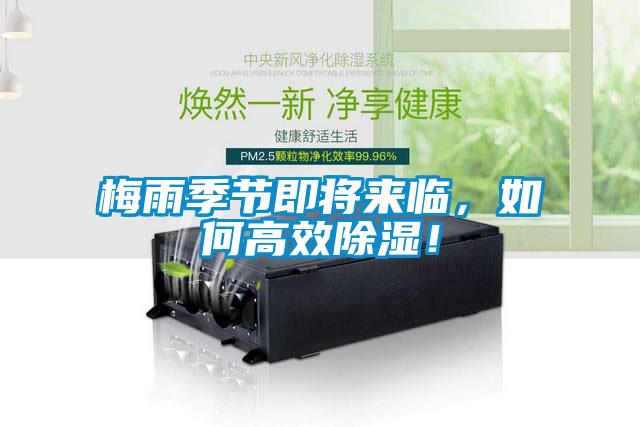 梅雨季節(jié)即將來(lái)臨，如何高效除濕！
