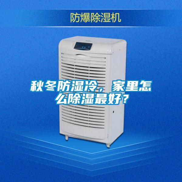 秋冬防濕冷，家里怎么除濕最好？