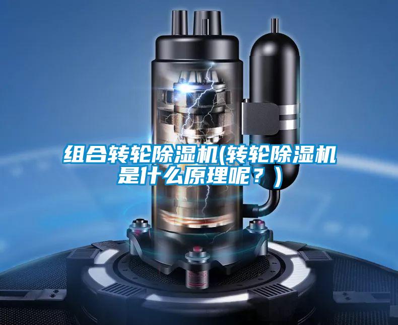 組合轉輪除濕機(轉輪除濕機是什么原理呢？)