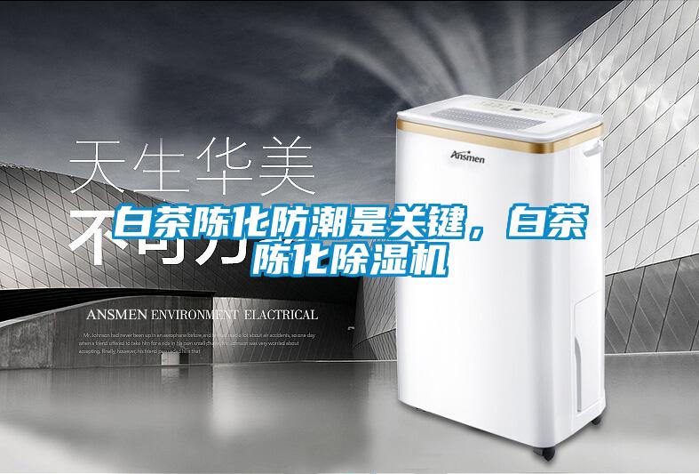 白茶陳化防潮是關(guān)鍵，白茶陳化除濕機(jī)