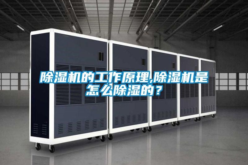 除濕機的工作原理,除濕機是怎么除濕的？