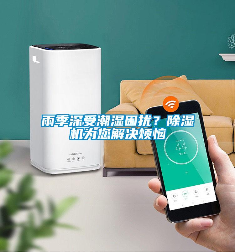 雨季深受潮濕困擾？除濕機(jī)為您解決煩惱