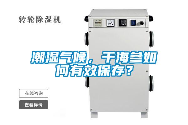 潮濕氣候，干海參如何有效保存？