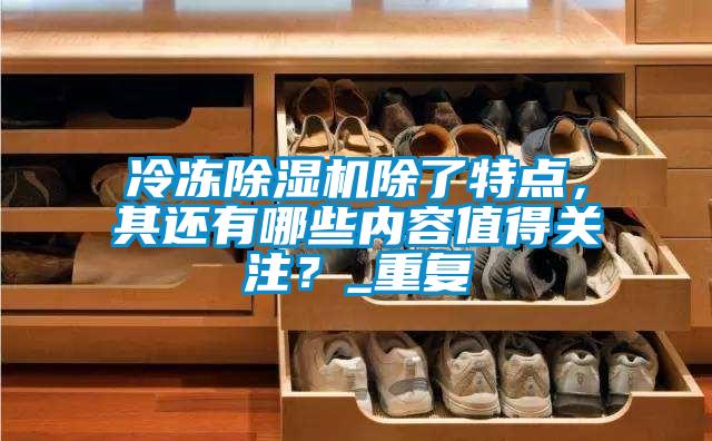 冷凍除濕機除了特點，其還有哪些內(nèi)容值得關(guān)注？_重復