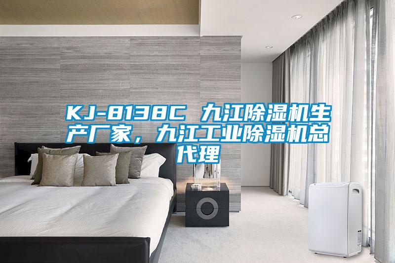 KJ-8138C 九江除濕機生產廠家，九江工業除濕機總代理