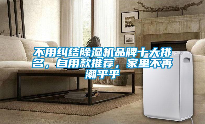 不用糾結除濕機品牌十大排名，自用款推薦，家里不再潮乎乎