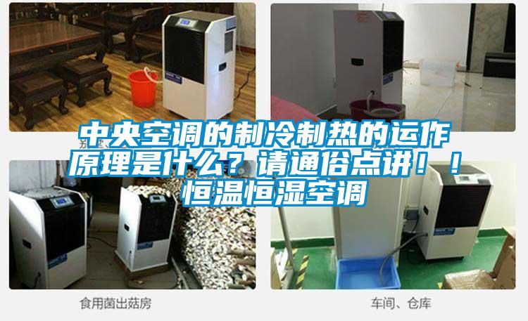 中央空調(diào)的制冷制熱的運(yùn)作原理是什么？請(qǐng)通俗點(diǎn)講！！ 恒溫恒濕空調(diào)