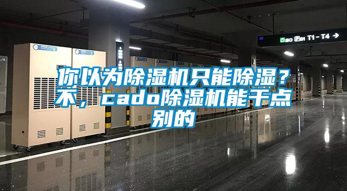 你以為除濕機只能除濕？不，cado除濕機能干點別的