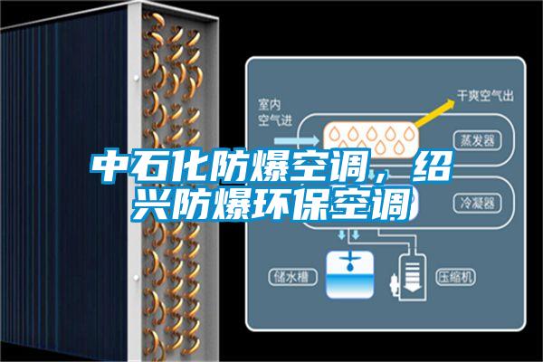 中石化防爆空調(diào)，紹興防爆環(huán)?？照{(diào)