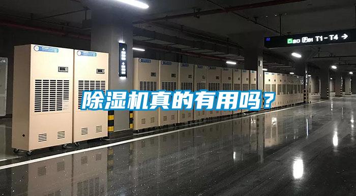 除濕機真的有用嗎？