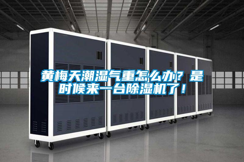 黃梅天潮濕氣重怎么辦？是時候來一臺除濕機(jī)了！