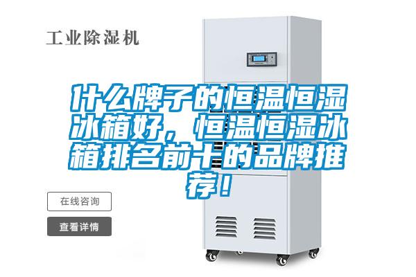 什么牌子的恒溫恒濕冰箱好，恒溫恒濕冰箱排名前十的品牌推薦！