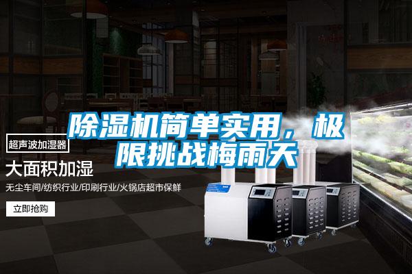 除濕機簡單實用，極限挑戰梅雨天
