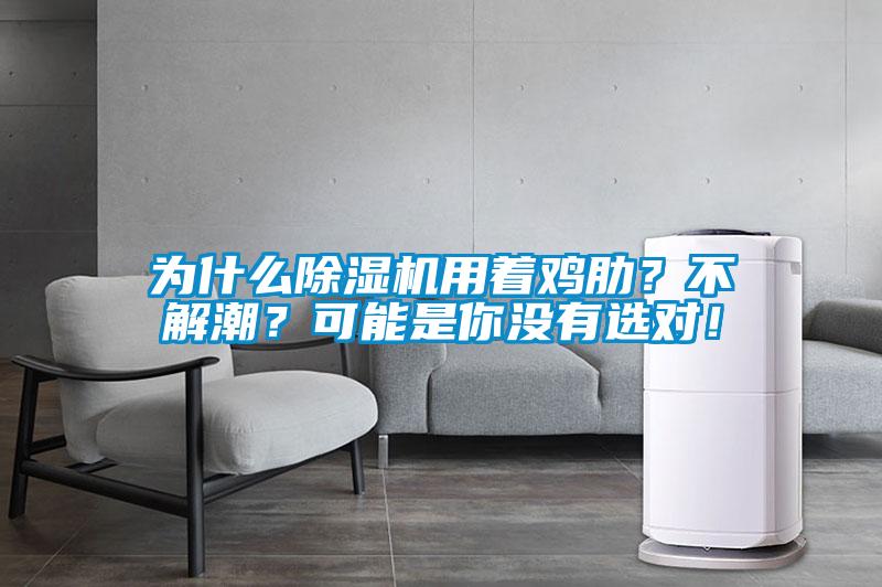 為什么除濕機用著雞肋？不解潮？可能是你沒有選對！