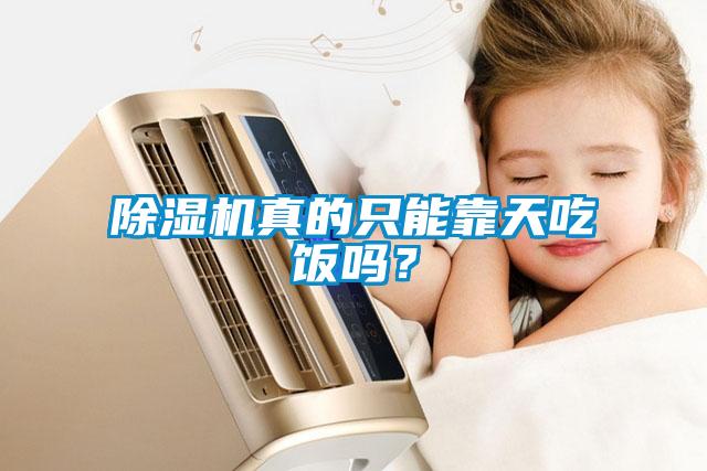 除濕機真的只能靠天吃飯嗎？