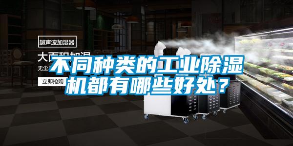 不同種類的工業除濕機都有哪些好處？