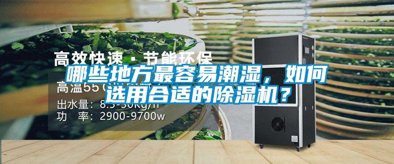 哪些地方最容易潮濕，如何選用合適的除濕機？