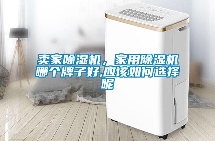 賣家除濕機，家用除濕機哪個牌子好,應該如何選擇呢