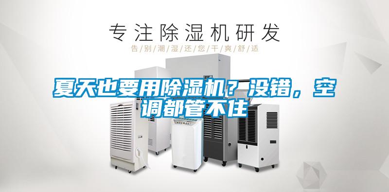 夏天也要用除濕機？沒錯，空調都管不住
