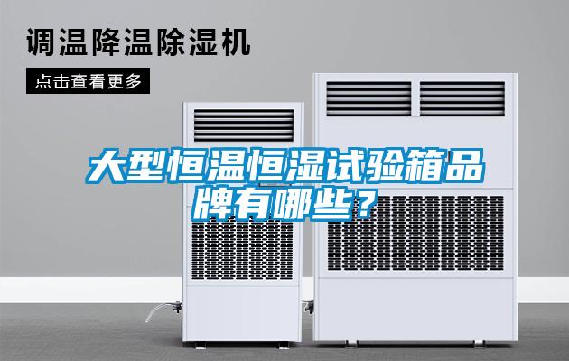 大型恒溫恒濕試驗箱品牌有哪些？