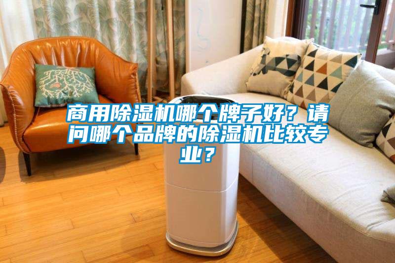 商用除濕機(jī)哪個(gè)牌子好？請(qǐng)問哪個(gè)品牌的除濕機(jī)比較專業(yè)？