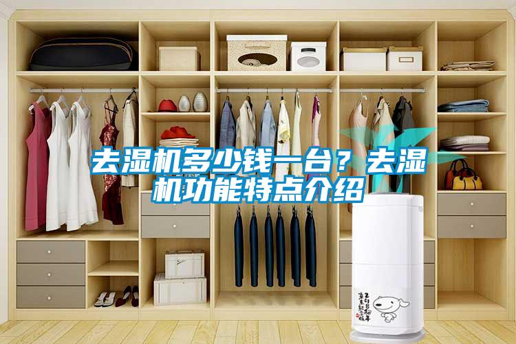 去濕機多少錢一臺？去濕機功能特點介紹