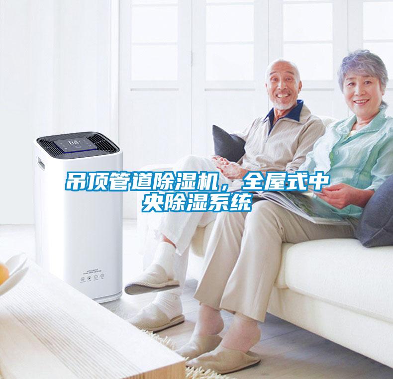 吊頂管道除濕機(jī)，全屋式中央除濕系統(tǒng)