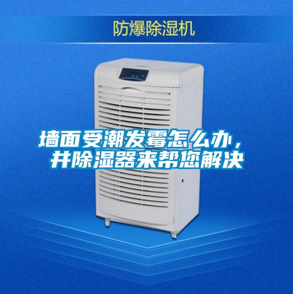 墻面受潮發霉怎么辦，東井除濕器來幫您解決