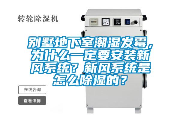 別墅地下室潮濕發霉，為什么一定要安裝新風系統？新風系統是怎么除濕的？