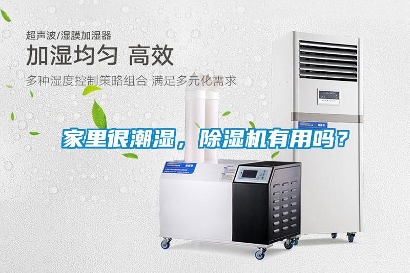 家里很潮濕，除濕機(jī)有用嗎？