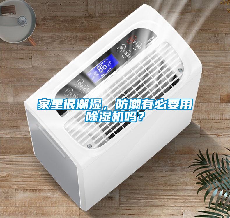 家里很潮濕，防潮有必要用除濕機(jī)嗎？