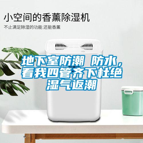 地下室防潮≠防水，看我四管齊下杜絕濕氣返潮
