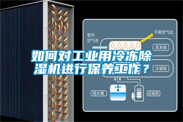 如何對工業(yè)用冷凍除濕機(jī)進(jìn)行保養(yǎng)工作？