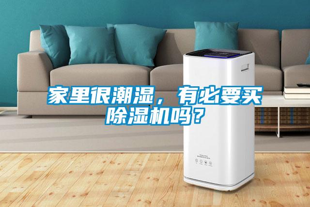 家里很潮濕，有必要買除濕機(jī)嗎？