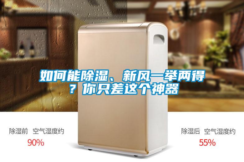如何能除濕、新風一舉兩得？你只差這個神器