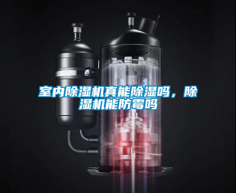 室內(nèi)除濕機真能除濕嗎，除濕機能防霉嗎