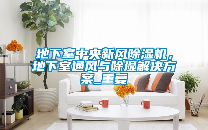 地下室中央新風除濕機，地下室通風與除濕解決方案_重復