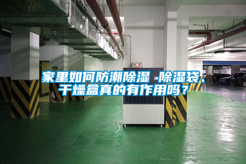 家里如何防潮除濕 除濕袋、干燥盒真的有作用嗎？