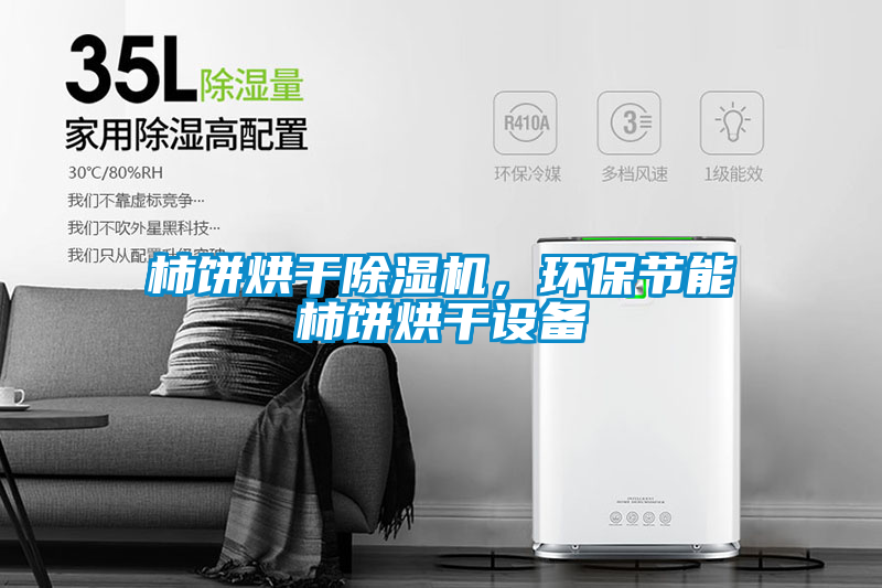 柿餅烘干除濕機，環保節能柿餅烘干設備